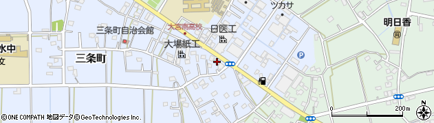 埼玉県さいたま市西区三条町166周辺の地図