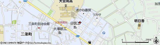 埼玉県さいたま市西区三条町29周辺の地図