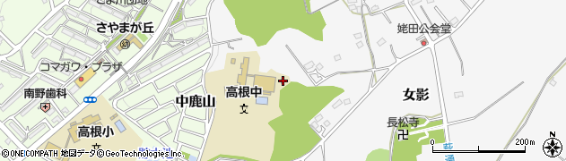 埼玉県日高市女影1182周辺の地図