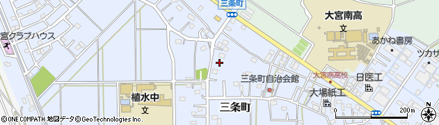 埼玉県さいたま市西区三条町212周辺の地図