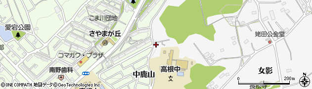 埼玉県日高市女影1194周辺の地図