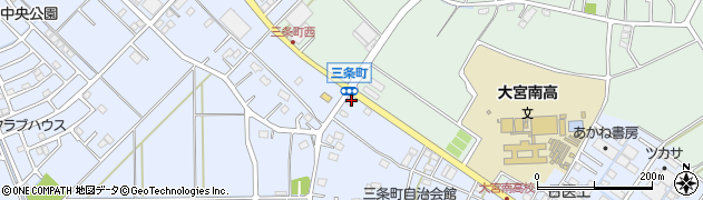 埼玉県さいたま市西区三条町205周辺の地図