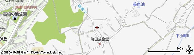 埼玉県日高市女影1293周辺の地図