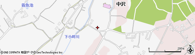 埼玉県日高市女影607周辺の地図
