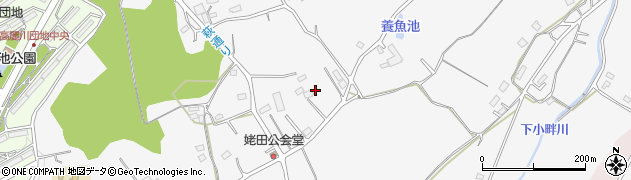埼玉県日高市女影1283周辺の地図