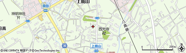 埼玉県日高市上鹿山193周辺の地図