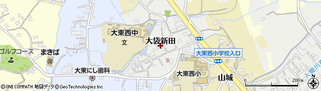 埼玉県川越市大袋新田周辺の地図