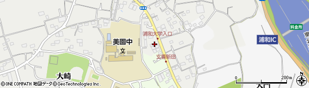 埼玉県さいたま市緑区大崎2562周辺の地図
