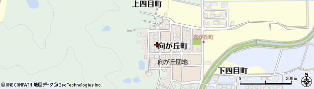 福井県越前市向が丘町504周辺の地図