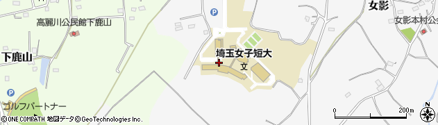 埼玉県日高市女影1596周辺の地図