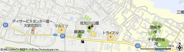 佐知川公園周辺の地図