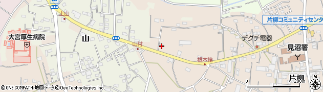 埼玉県さいたま市見沼区片柳1008周辺の地図