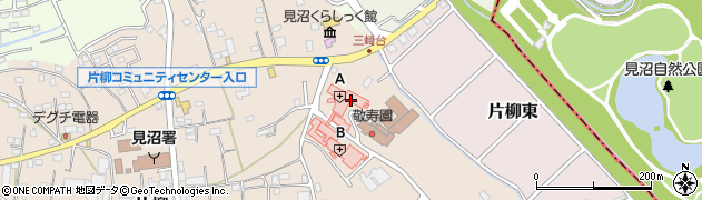 埼玉県さいたま市見沼区片柳1303周辺の地図