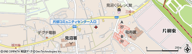 埼玉県さいたま市見沼区片柳1322周辺の地図