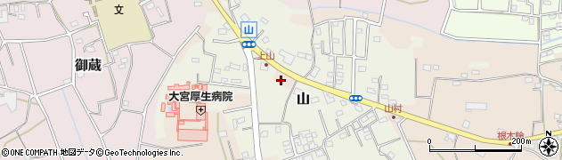 埼玉県さいたま市見沼区片柳2938周辺の地図
