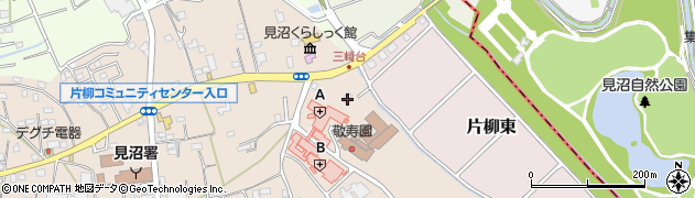 埼玉県さいたま市見沼区片柳1273周辺の地図