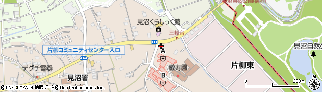 埼玉県さいたま市見沼区片柳1310周辺の地図
