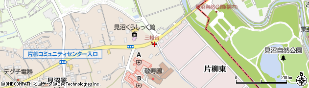 埼玉県さいたま市見沼区片柳1270周辺の地図