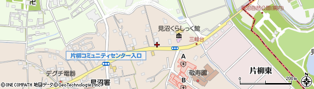 埼玉県さいたま市見沼区片柳1259周辺の地図