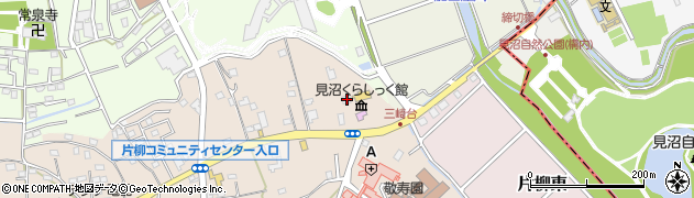 埼玉県さいたま市見沼区片柳1264周辺の地図