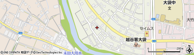 埼玉県越谷市大道294周辺の地図