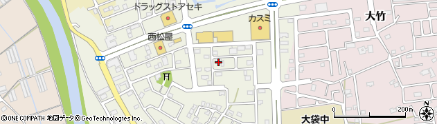 埼玉県越谷市大道213周辺の地図