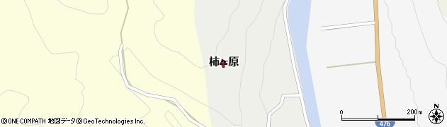 福井県池田町（今立郡）柿ヶ原周辺の地図