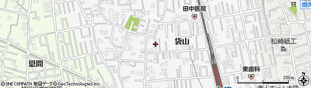 埼玉県越谷市袋山周辺の地図