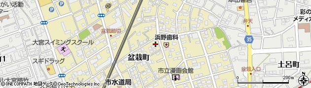 埼玉県さいたま市北区盆栽町周辺の地図