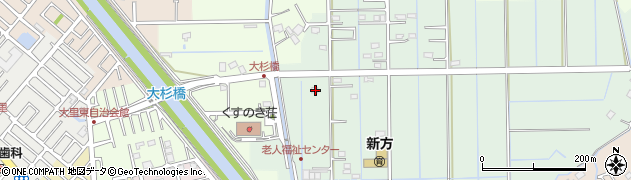 埼玉県越谷市北川崎805周辺の地図