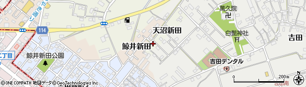 埼玉県川越市天沼新田5周辺の地図