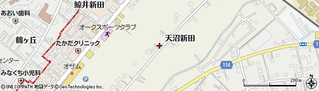 埼玉県川越市天沼新田125周辺の地図