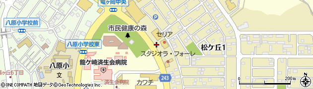 １００円ショップセリア龍ヶ崎店周辺の地図