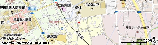 埼玉県入間郡毛呂山町小田谷810周辺の地図