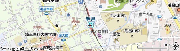 毛呂駅周辺の地図