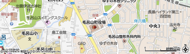 埼玉県毛呂山町（入間郡）周辺の地図
