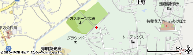 埼玉県上尾市上野867周辺の地図