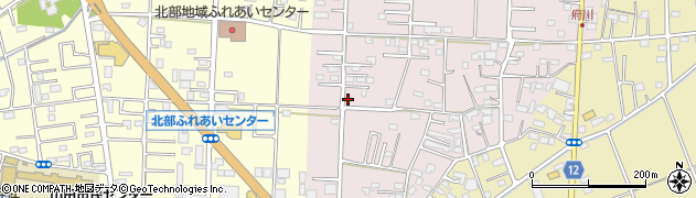 埼玉県川越市府川232周辺の地図