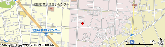 埼玉県川越市府川231周辺の地図
