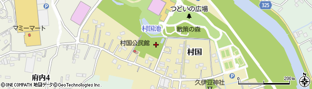 埼玉県さいたま市岩槻区村国周辺の地図