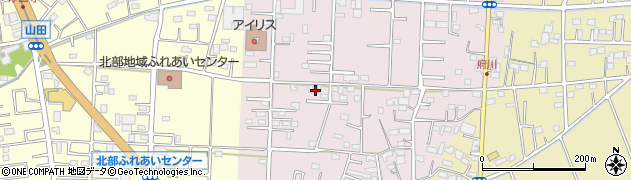 埼玉県川越市府川203周辺の地図