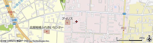 埼玉県川越市府川217周辺の地図