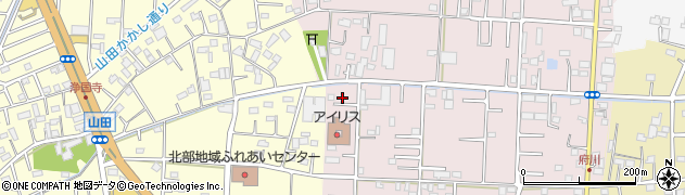 埼玉県川越市府川250周辺の地図