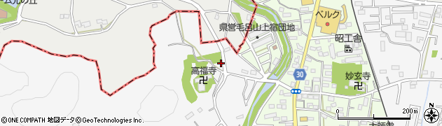 埼玉県入間郡毛呂山町滝ノ入110周辺の地図