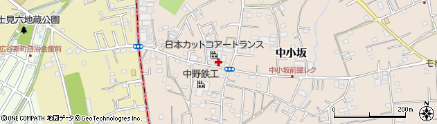 埼玉県坂戸市中小坂953周辺の地図