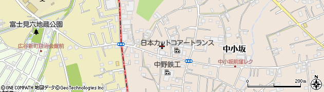 埼玉県坂戸市中小坂950周辺の地図