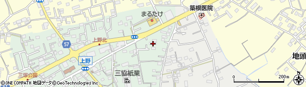 埼玉県上尾市上野248周辺の地図