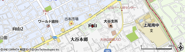 埼玉県上尾市向山周辺の地図