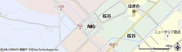 福井県越前町（丹生郡）丸山周辺の地図