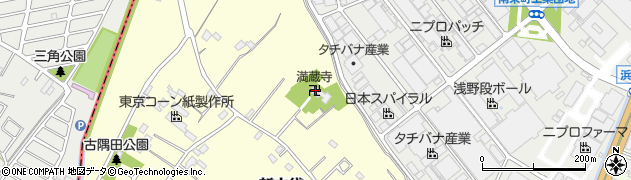 埼玉県春日部市新方袋266周辺の地図